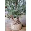 DEKORATÍVNY STROMČEK BOROVICE 90CM CHIC ANTIQUE (39116421)