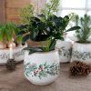 VIANOČNÝ KVETINÁČ S CEZMÍNOU CHIC ANTIQUE (65109319)